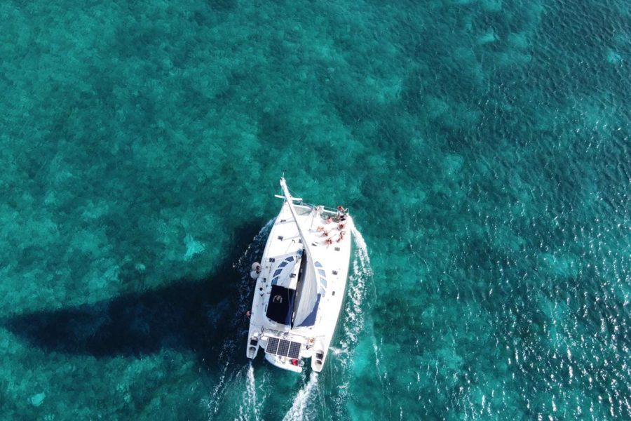 Private Catamaran In Cozumel All Inclusive For 30 People