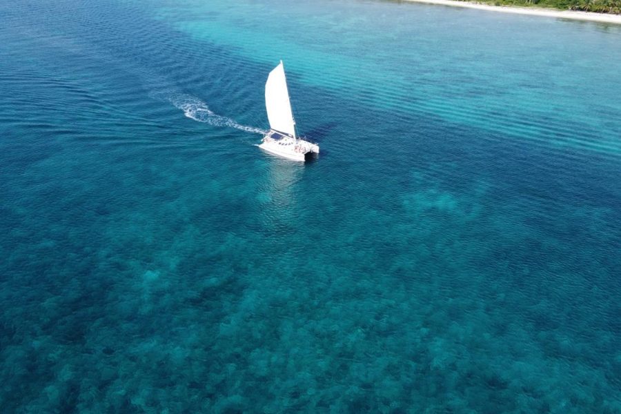 Catamaran Tour, Snorkeling and Lunch in Cozumel: All Inclusive